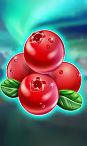 Winterberries